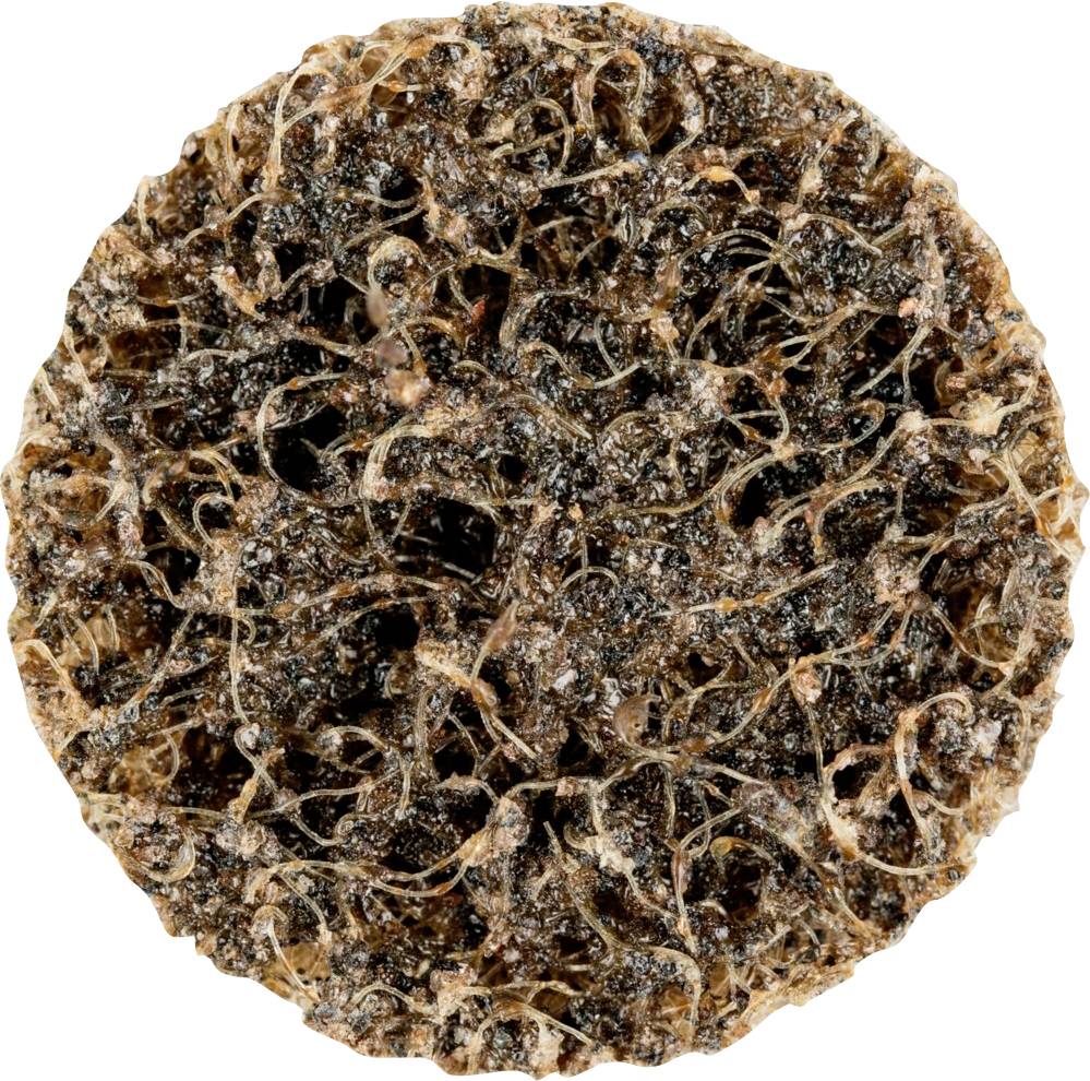 PFERD 42761251 Schleifteller Durchmesser 25mm