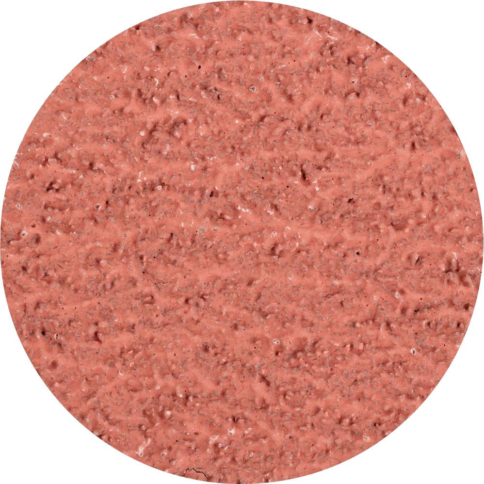 PFERD TOOLS CDR 50 A-COOL 36 42772503 Schleifblatt Körnung (num) 36 (Ø) 50mm 100St.