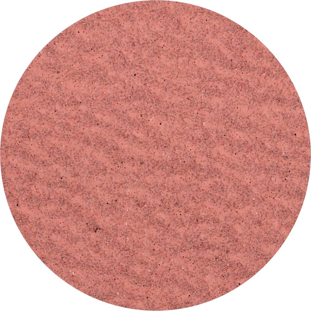 PFERD TOOLS CDR 50 A-COOL 60 42772506 Schleifblatt Körnung (num) 60 (Ø) 50 mm 100 St.