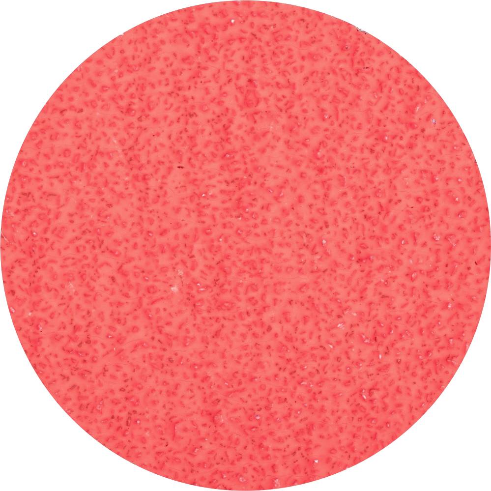 PFERD TOOLS CDR 75 CO-COOL 24 42776702 Schleifblatt Körnung (num) 24 (Ø) 75mm 50St.