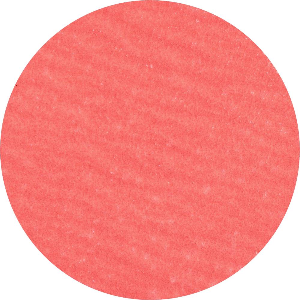 Ein roter Kreis, ohne Text oder Muster, auf weißem Hintergrund.