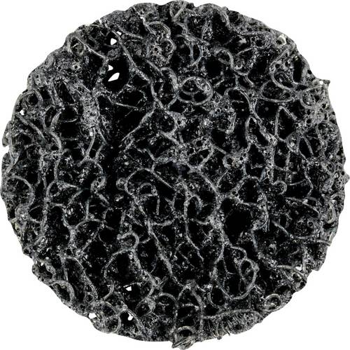 Rüggeberg Gmbh&co - combidisc Policlean pclr 50mm Pferd