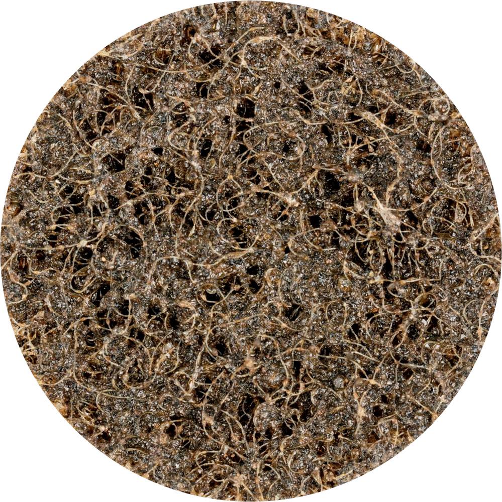 PFERD 42781501 Schleifteller Durchmesser 50mm