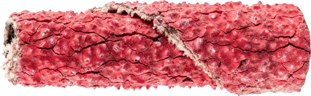 PFERD TOOLS PR 0625 CO-COOL 60 42810646 Schleifpapierrolle Körnung (num) 60 (Ø x H) 6mm x 25mm 50St.