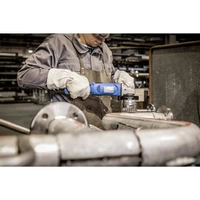 PFERD TOOLS Topfbürste TBG 100/M14 INOX 0,50 43308044 5St. PFERD TOOLS Topfbürste TBG 100/M14 INOX 0,50 43308044 5St.