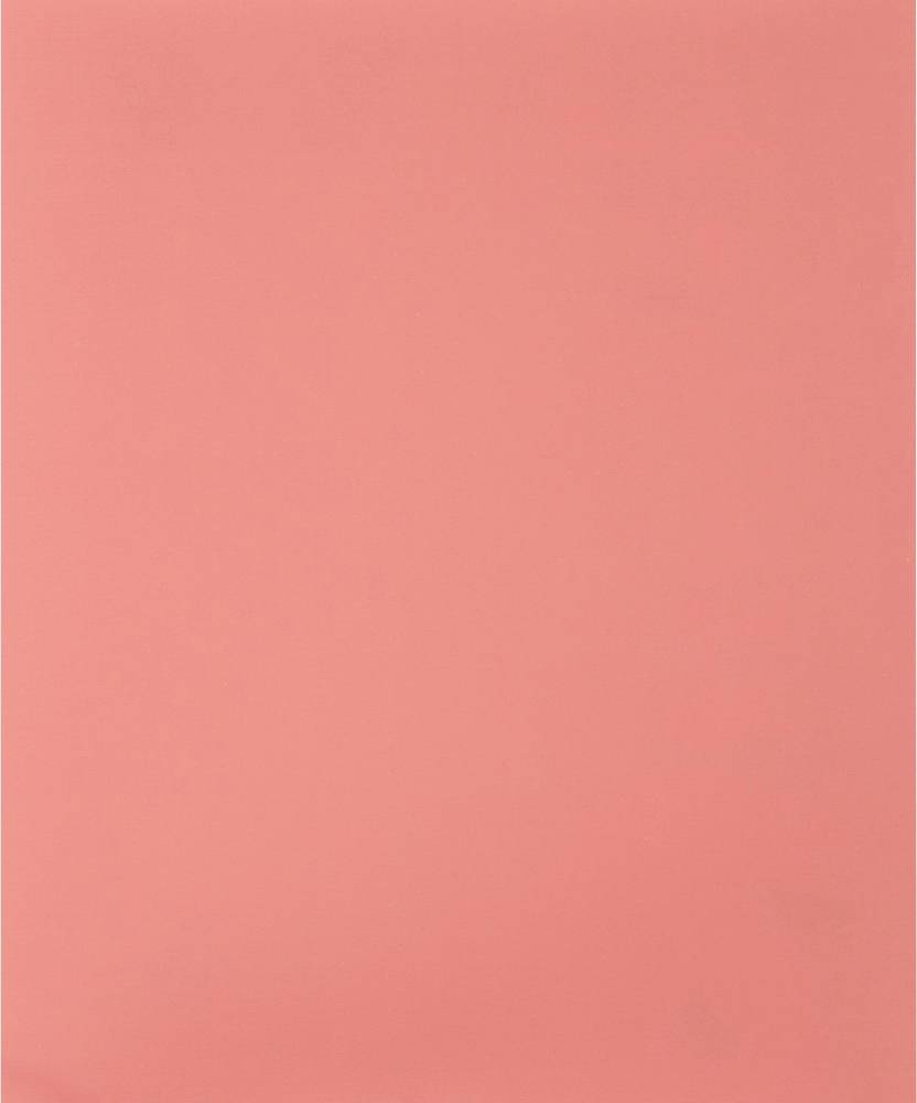 PFERD BG BR 230x280A 999 45013099 Handschleifpapier Körnung 999 (L x B) 280mm x 230mm 50St.