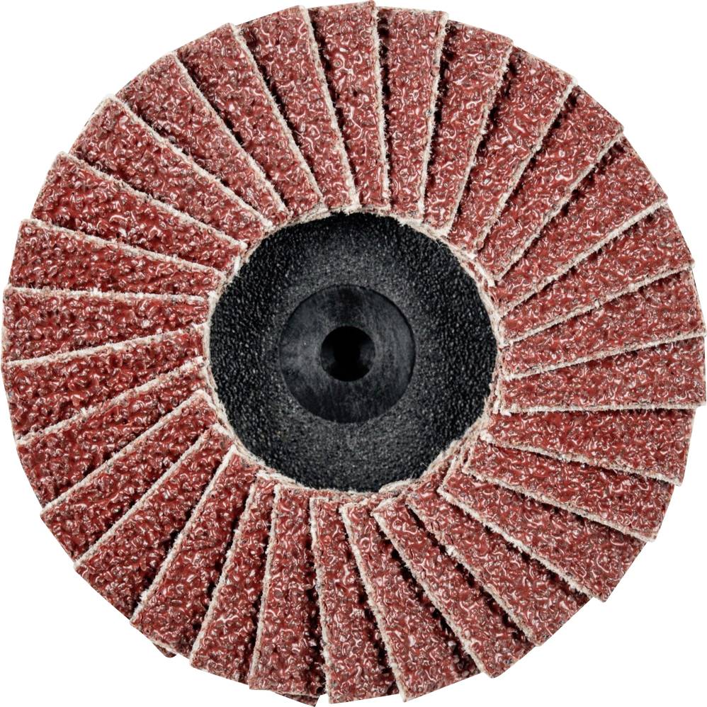 PFERD 47202527 CDR PFF 50 A 40 Fächerschleifscheibe Durchmesser 50 mm Bronze, Titan, Titanlegierung