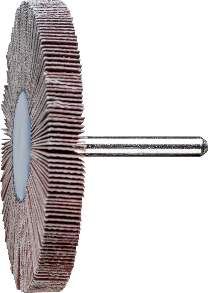 PFERD 47802857 Fächerschleifer Durchmesser 80mm 10St.