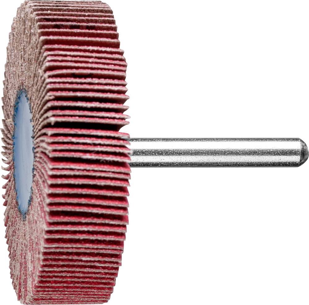 PFERD TOOLS 47802874 Fächerschleifer Durchmesser 60mm 10St.