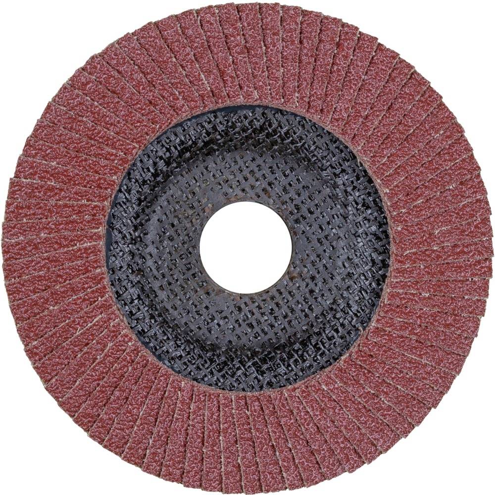 PFERD 67648125PFF 125A 80 PSF STEELOX Fächerschleifscheibe Durchmesser 125mm Bohrungs-Ø 22.23mm Edelstahl, Stahl 10St.