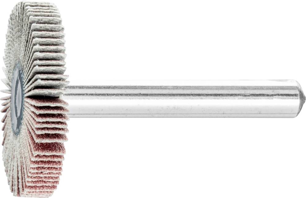 PFERD 44401246 Fächerschleifer Durchmesser 30mm 10St.