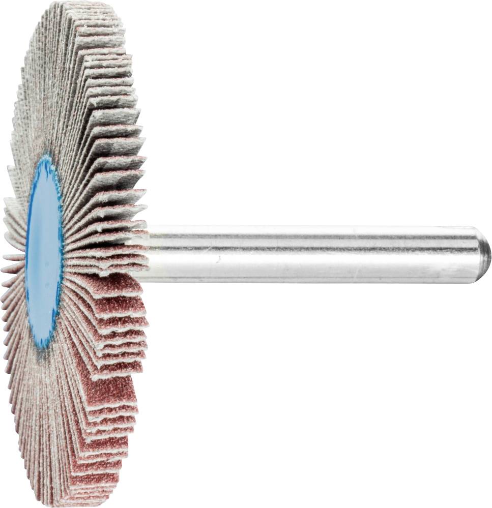 PFERD 44418126 Fächerschleifer Durchmesser 50mm 10St.