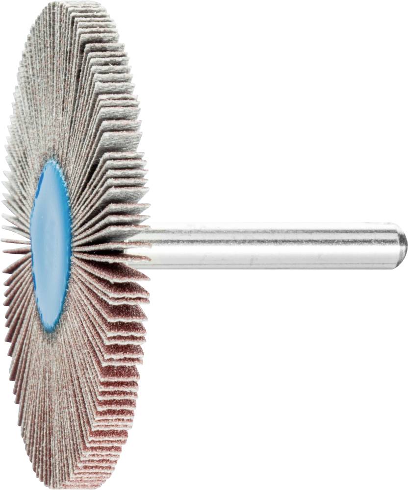 PFERD 44419156 Fächerschleifer Durchmesser 60mm 10St.