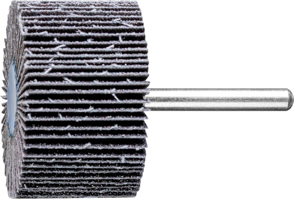 PFERD 44450060 Fächerschleifer Durchmesser 50mm 10St.