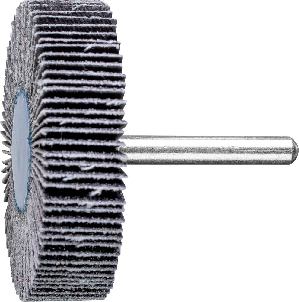 PFERD 44460060 Fächerschleifer Durchmesser 60mm 10St.