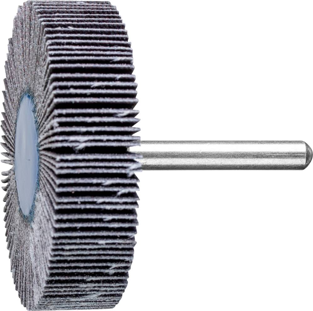 PFERD 44460120 Fächerschleifer Durchmesser 60mm 10St.