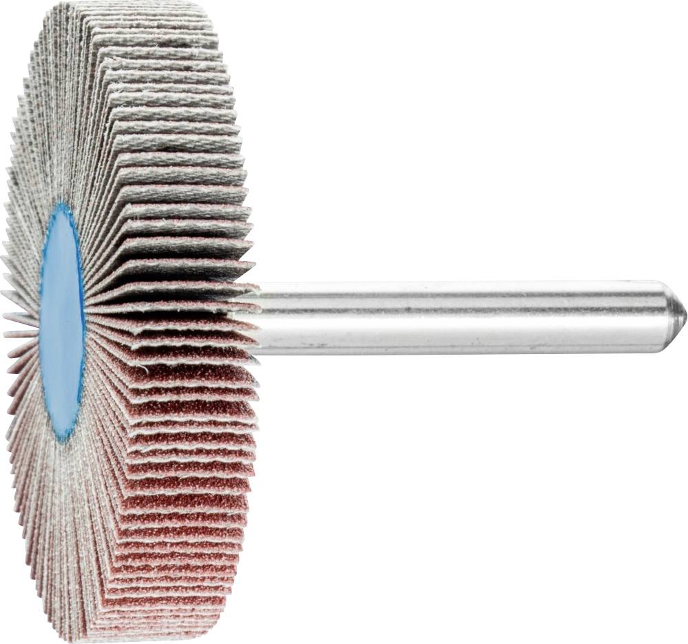 PFERD 44505156 Fächerschleifer Durchmesser 50mm 10St.