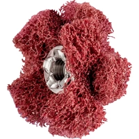 PFERD 44698253 Schleifsterne Durchmesser 25mm 20St. PFERD 44698253 Schleifsterne Durchmesser 25mm 20St.