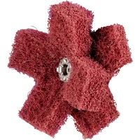 PFERD 44698503 Schleifsterne Durchmesser 50mm 20St. PFERD 44698503 Schleifsterne Durchmesser 50mm 20St.