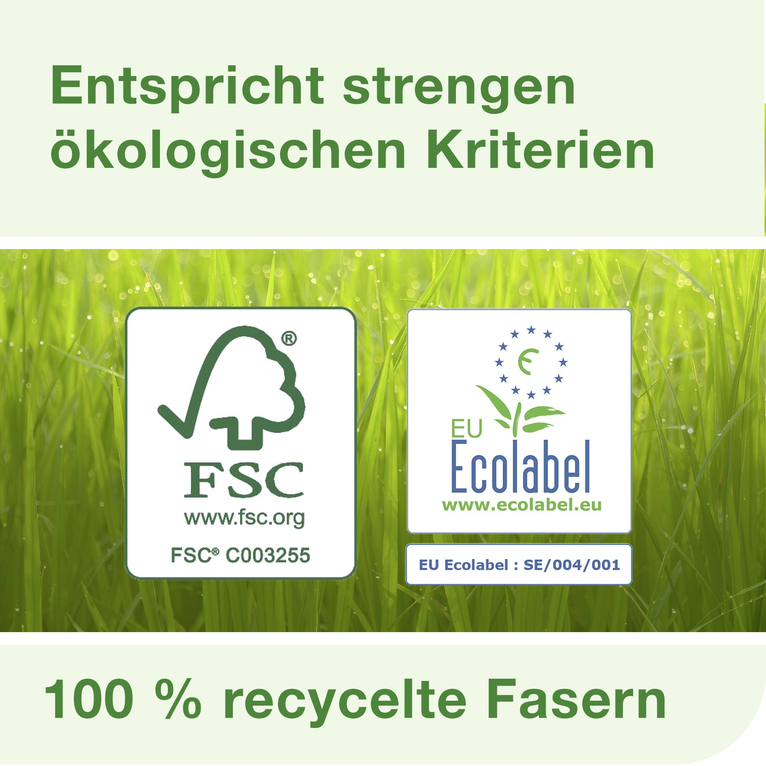 'Entspricht strengen ökologischen Kriterien' über Logo des FSC und EU Ecolabel, '100 % recycelte Fasern' darunter, auf grünem Hintergrund.