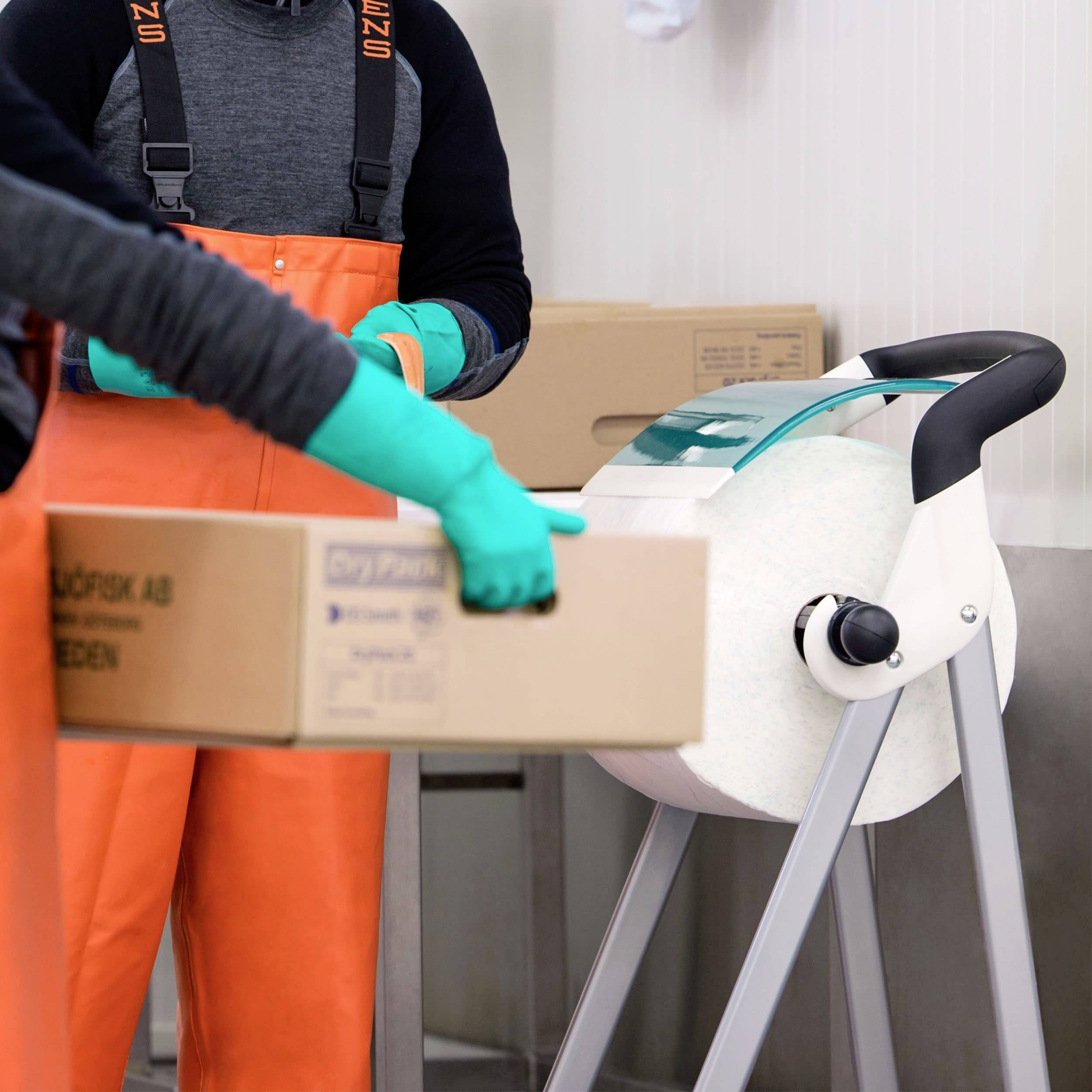 TORK 129237 Reinigungstücher 2 lagig