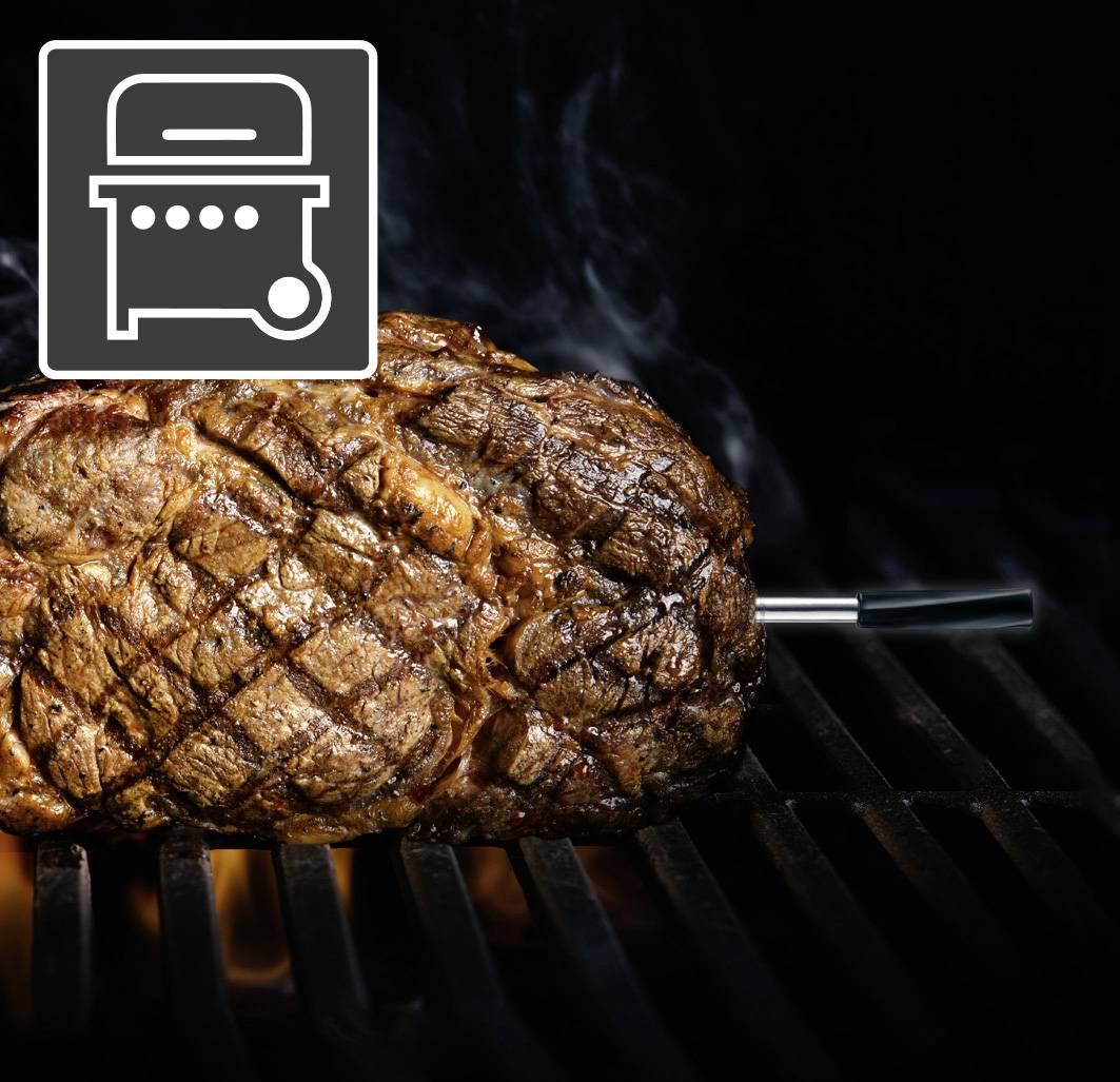 Laserliner 082.425A Bratenthermometer