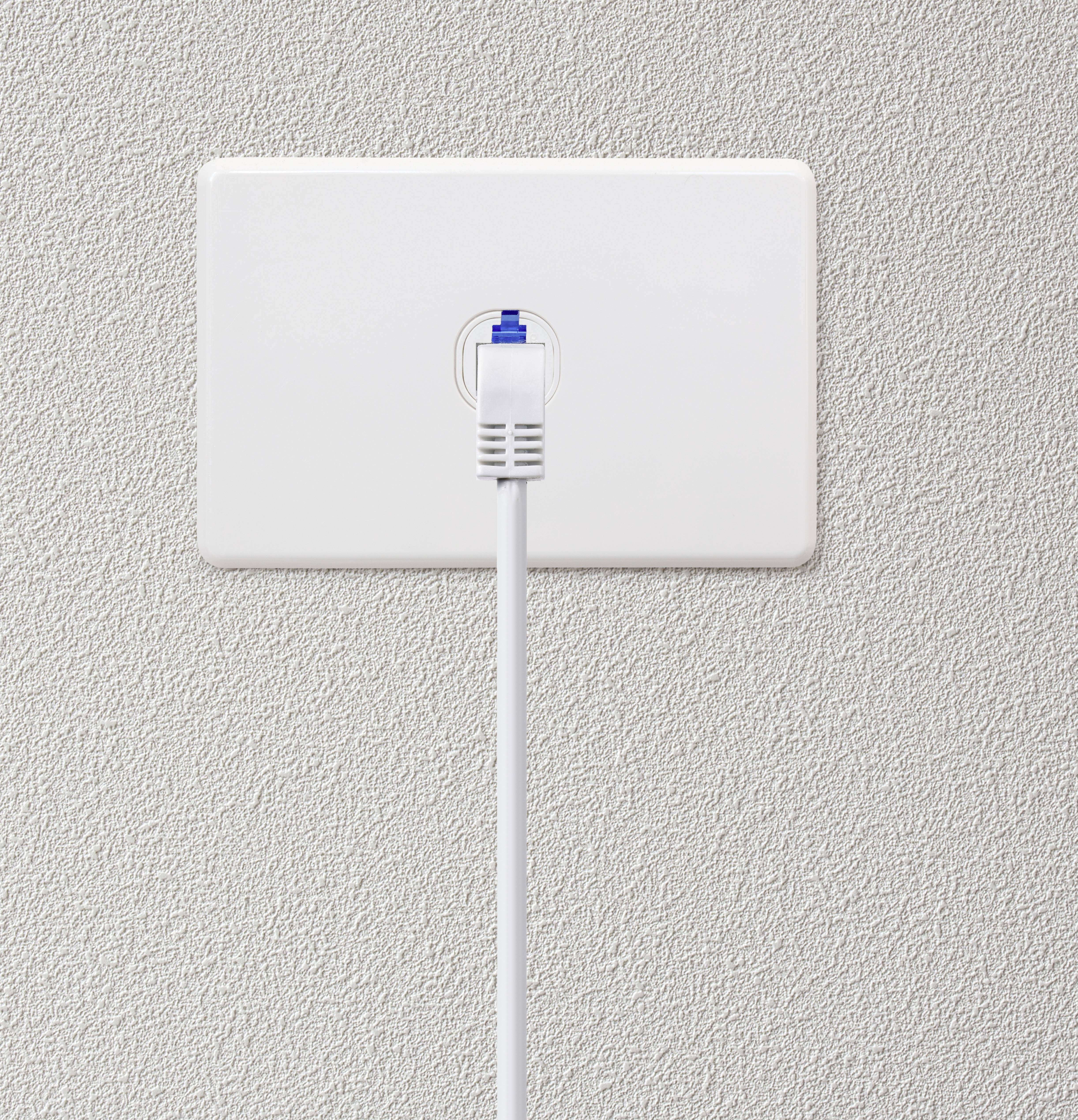 Ein LAN-Kabel ist in eine weiße Wandsteckdose eingesteckt, das Kabel verläuft senkrecht nach unten.