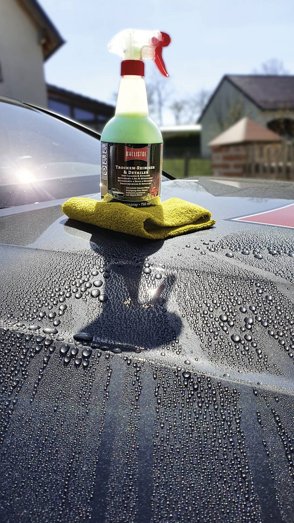 Ballistol 25086 Trockenreiniger 750ml