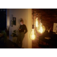 Philips LED 8719514313767 LED E27 7W = 40W Gold 1St. Philips LED 8719514313767 LED E27 7W = 40W Gold 1St.