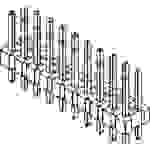 Molex Einbau-Stiftleiste (Standard) Anzahl Reihen: 2 10897121 Bag
