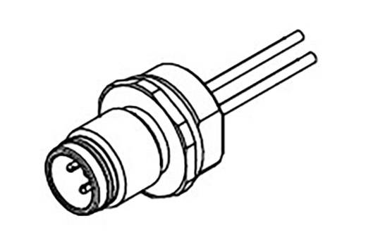 Abbildung eines zweipoligen elektrischen Steckers mit Metallgehäuse und geraden Steckkontakten, geeignet für industrielle Anwendungen.