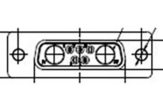 Molex 1731070060 D-SUB Stecker Polzahl: 7 Löten 1 St. Carton