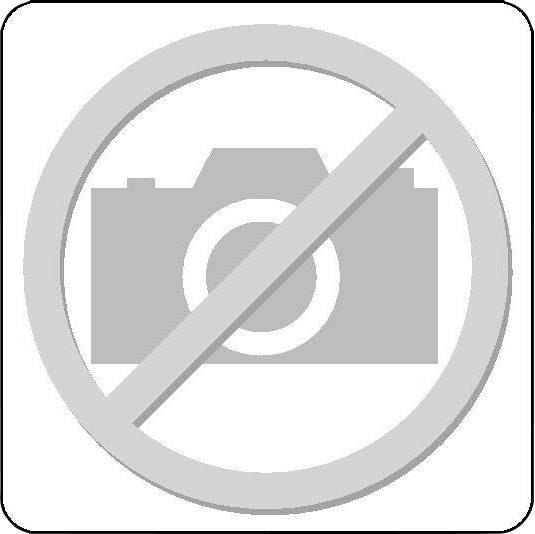 Gedore 2322323 EI-1500 CT1-19L Werkzeugeinlage (L x B x H) 310 x 158 x 35mm