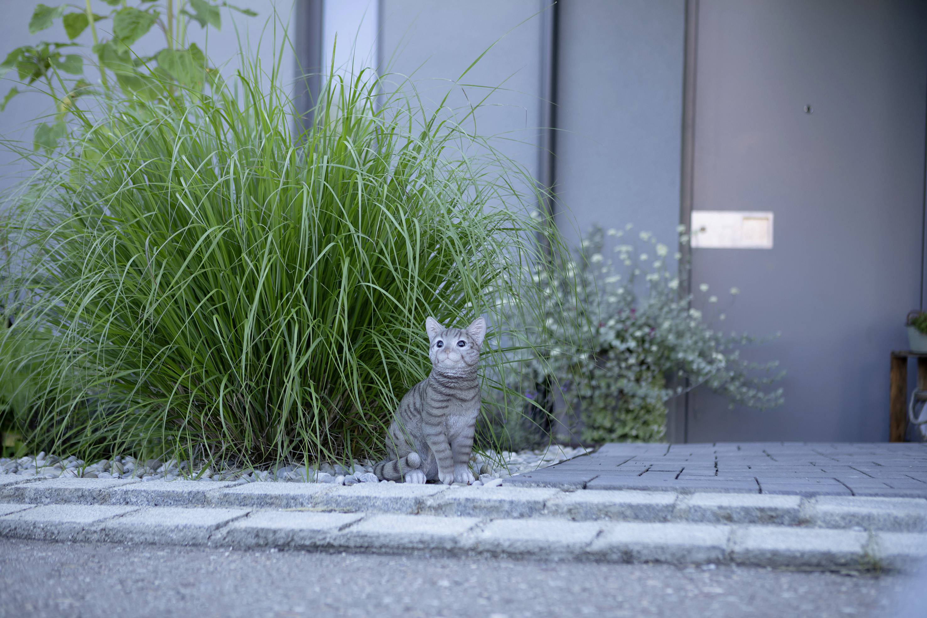 ABUS PPIC42520 WLAN IP Überwachungskamera 1920 x 1080 Pixel