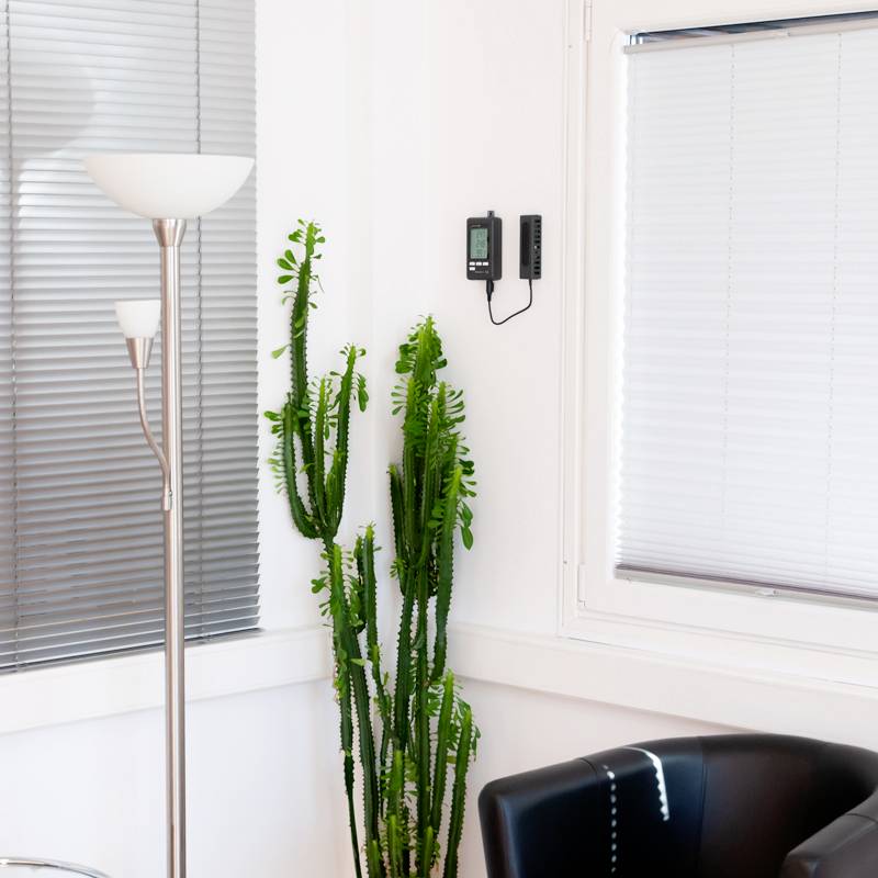 Ein heller Raum mit einer Stehlampe, einem Kaktus in der Ecke und einem schwarzen Ledersessel. Wände sind in Weiß mit Jalousien am Fenster.