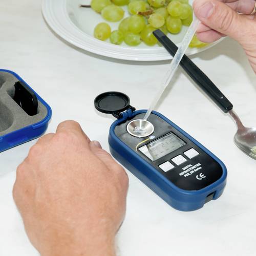 Eine Hand hält eine Pipette und gibt Flüssigkeit auf ein Refraktometer, das neben einem Teller mit grünen Trauben liegt.