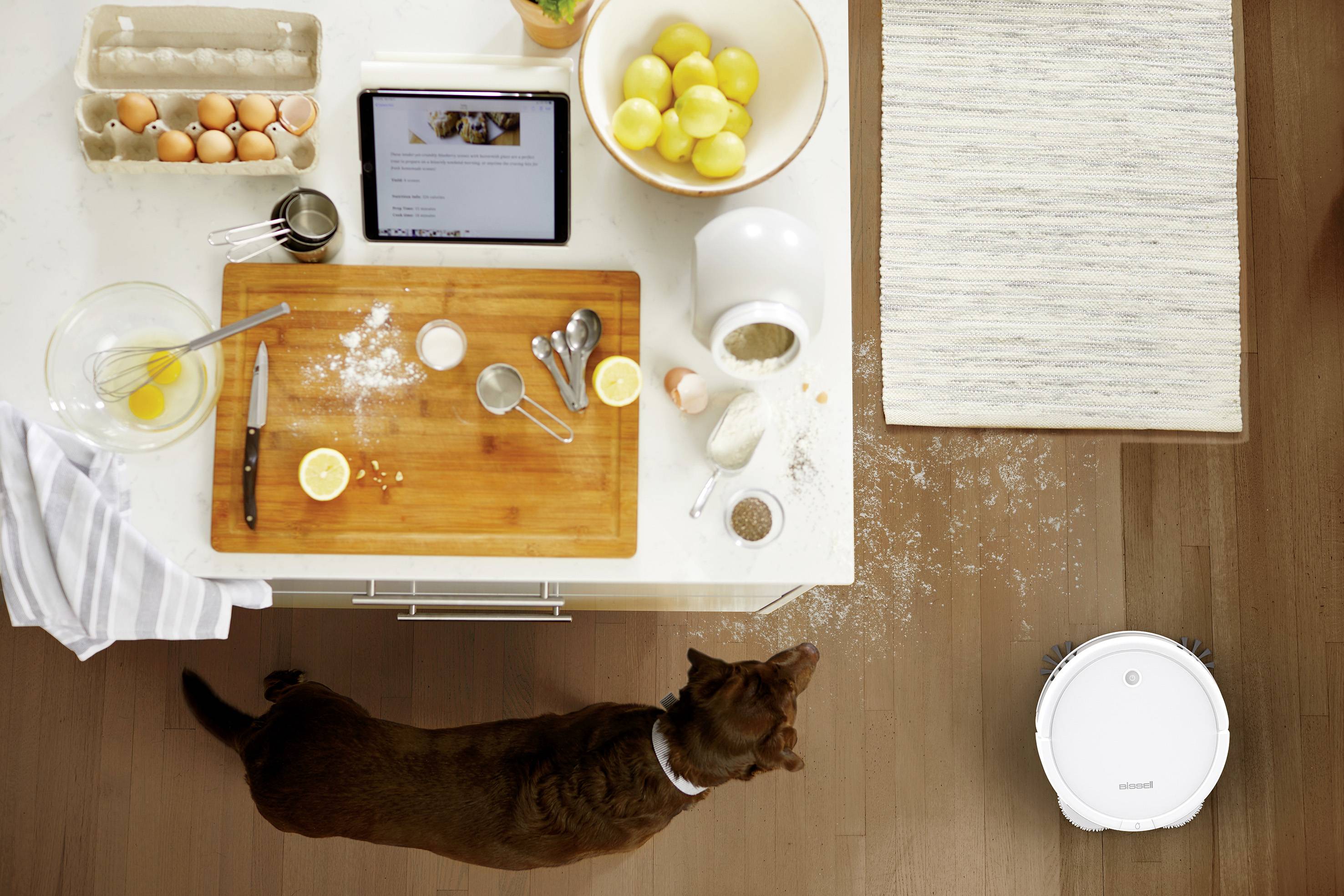 Bissell Spinwave Reinigungsroboter