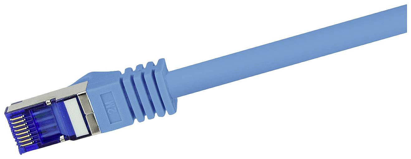 Ein blaues Ethernet-Kabel mit einem Metallstecker am Ende.