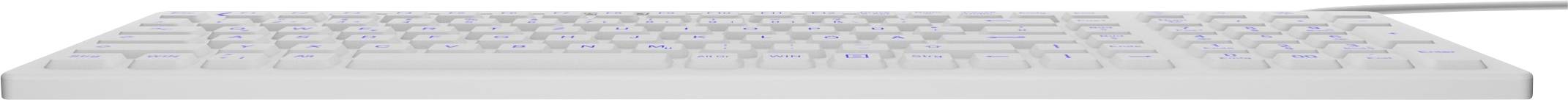 ICY BOX KSK-6031INEL-Wh Kabelgebunden Hygiene-Tastatur Deutsch, QWERTZ Weiß Staubgeschützt, Spritzwassergeschützt, Beleuchtet