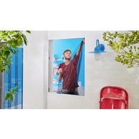 Tesa STANDARD 55671-00500-03 Fliegengitter (B x H) 1100 mm x 1300 mm Anthrazit 3 St. Tesa STANDARD 55671-00500-03 Fliegengitter (B x H) 1100 mm x 1300 mm Anthrazit 3 St.