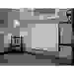 Infranomic GHE-P-SL-93 Radiateur infrarouge 250 W 4 m² noir