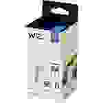 WiZ 8718699787073 LED EEK F (A - G) E14 4.9 W = 40 W Warmweiß bis Kaltweiß app-gesteuert 1 St.
