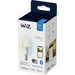 WiZ 871869978707300 LED EEK F (A - G) E14 4.9W = 40W app-gesteuert 1St.
