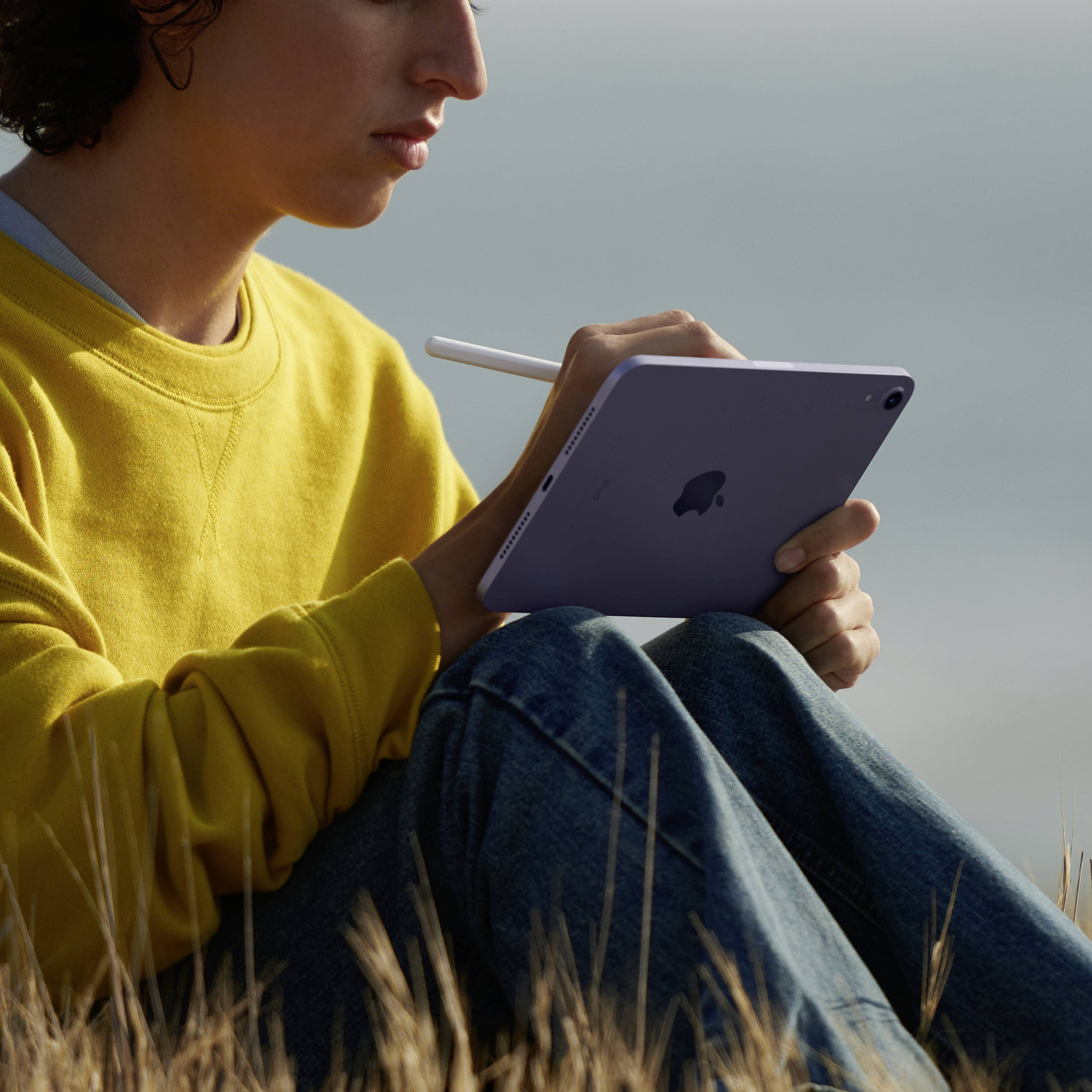 Apple iPad mini 8.3 (6. Generation, 2021) WiFi 64 GB Rose 21.1 cm (8.3 Zoll) iPadOS 15 2266 x 1488 Pixel