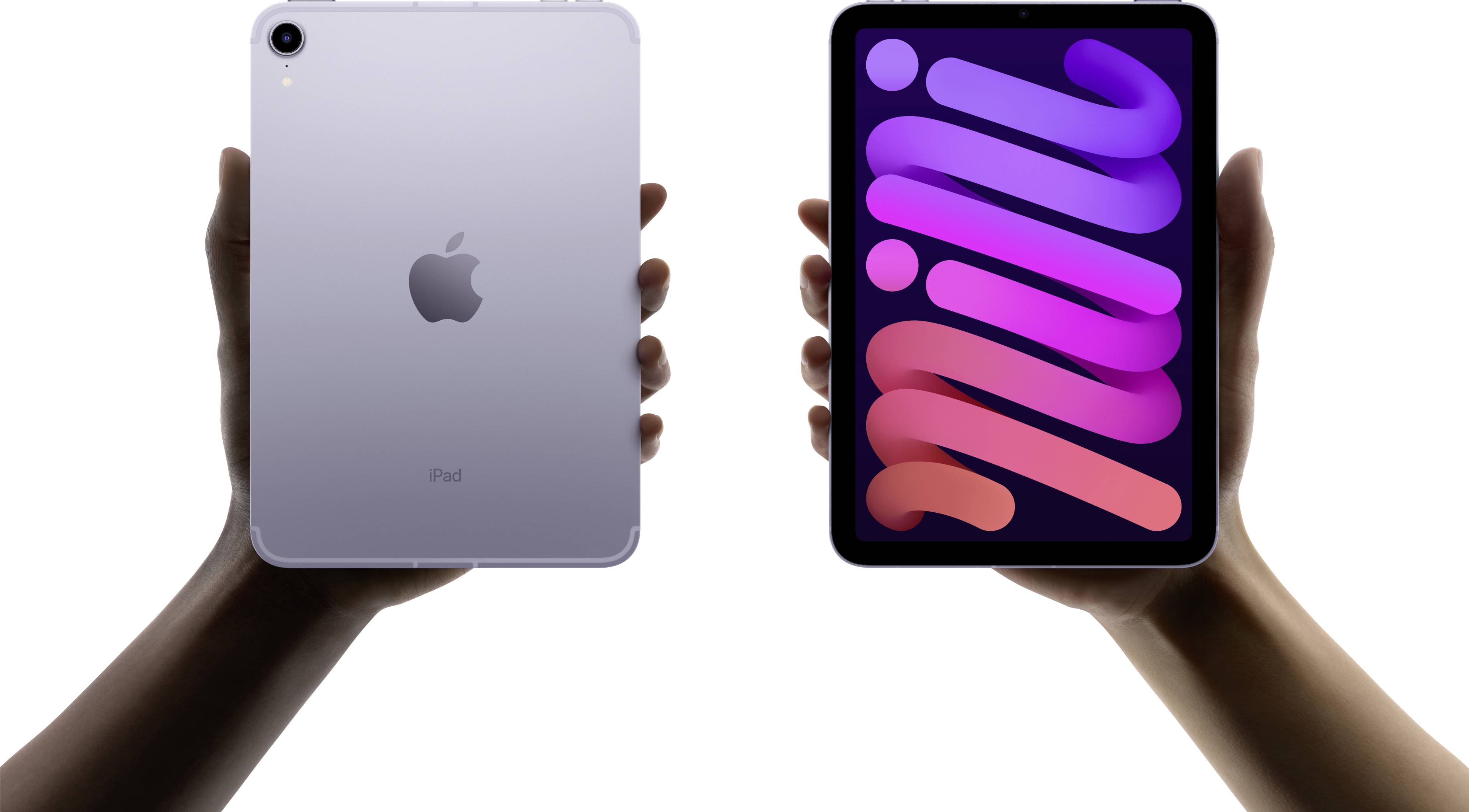 Apple iPad mini 8.3 (6. Generation, 2021) WiFi 64GB Rose 21.1cm (8.3 Zoll) iPadOS 15 2266 x 1488 Pixel