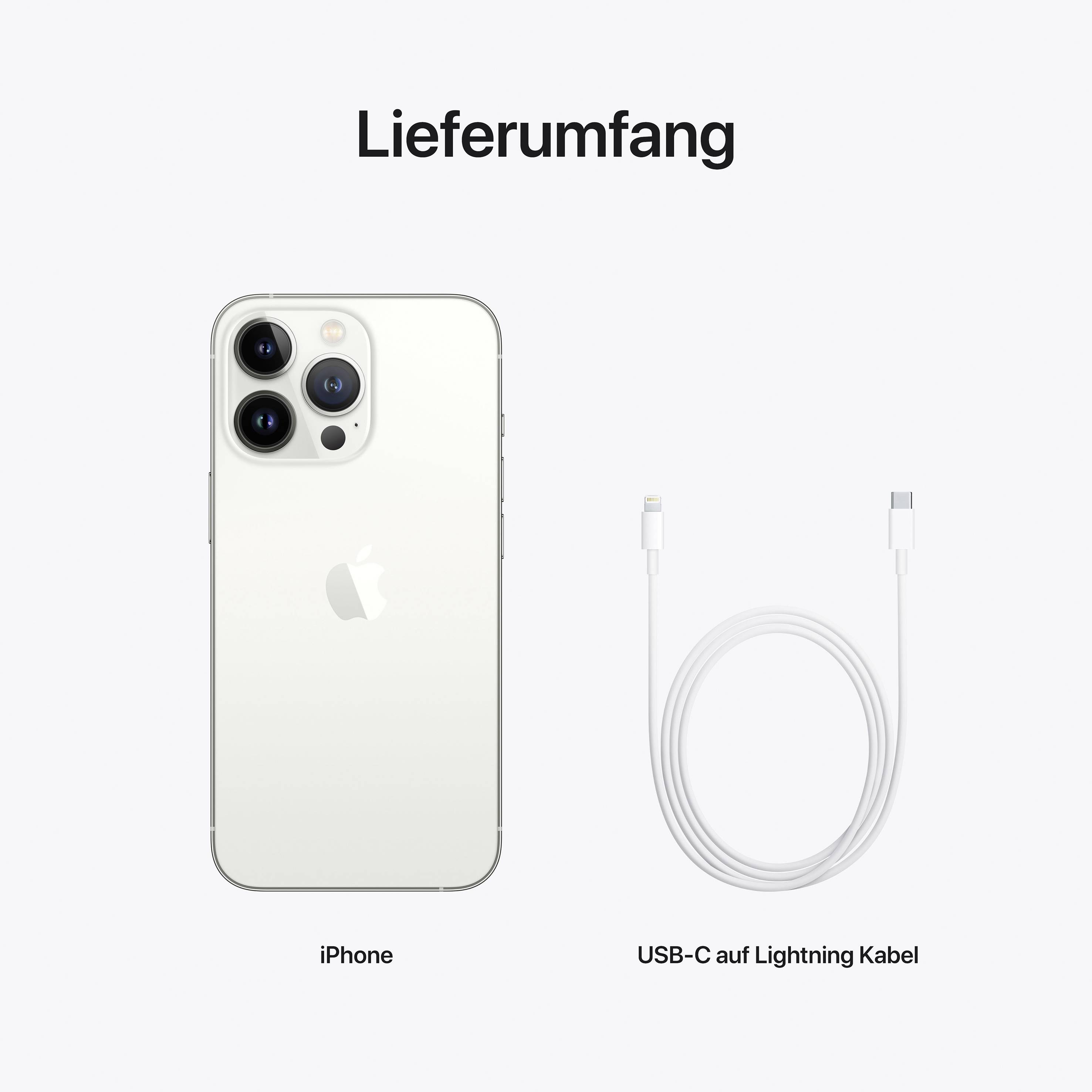 Apple iPhone 13 Pro Silber 256 GB 15.5 cm (6.1 Zoll)