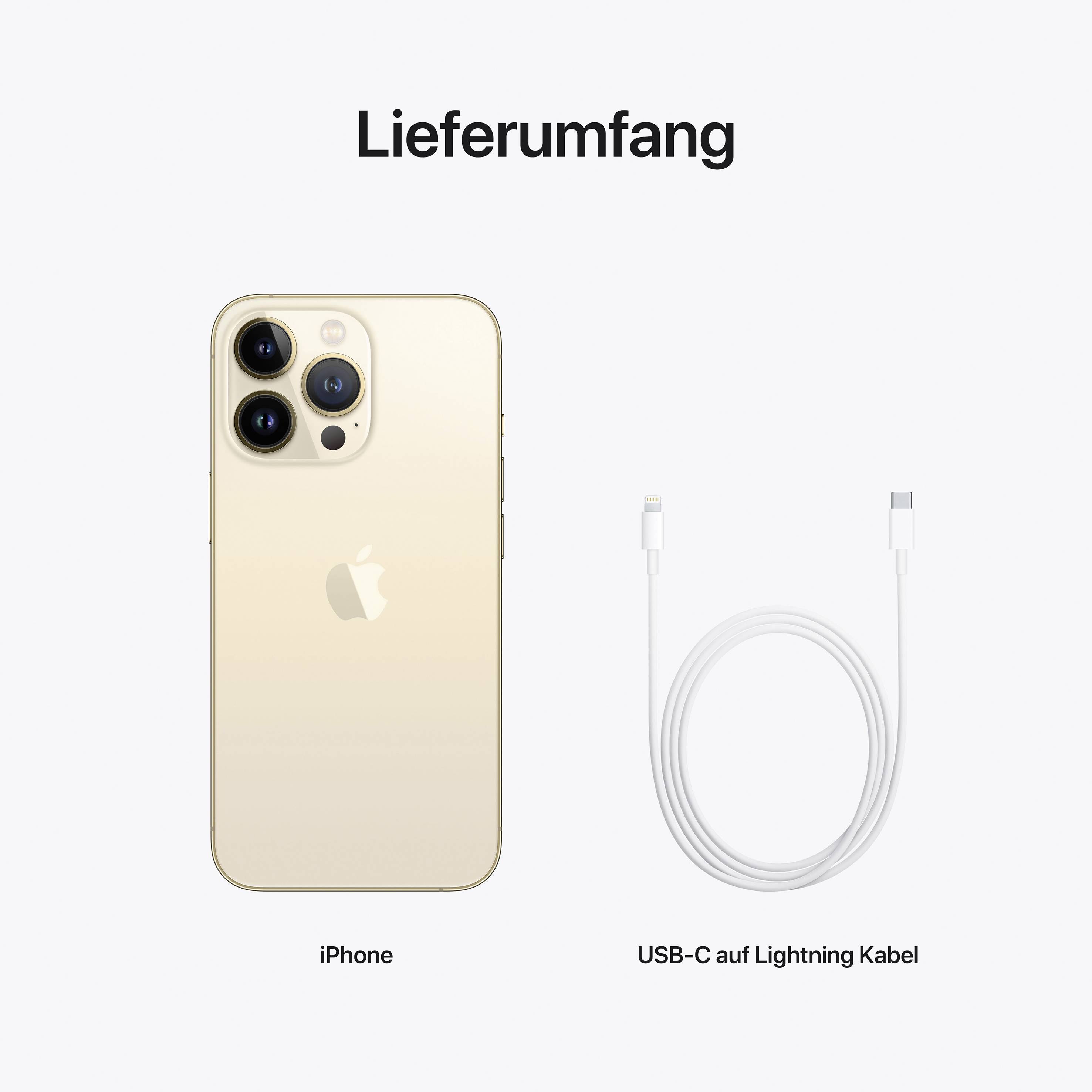 Apple iPhone 13 Pro Gold 1 TB 15.5 cm (6.1 Zoll)