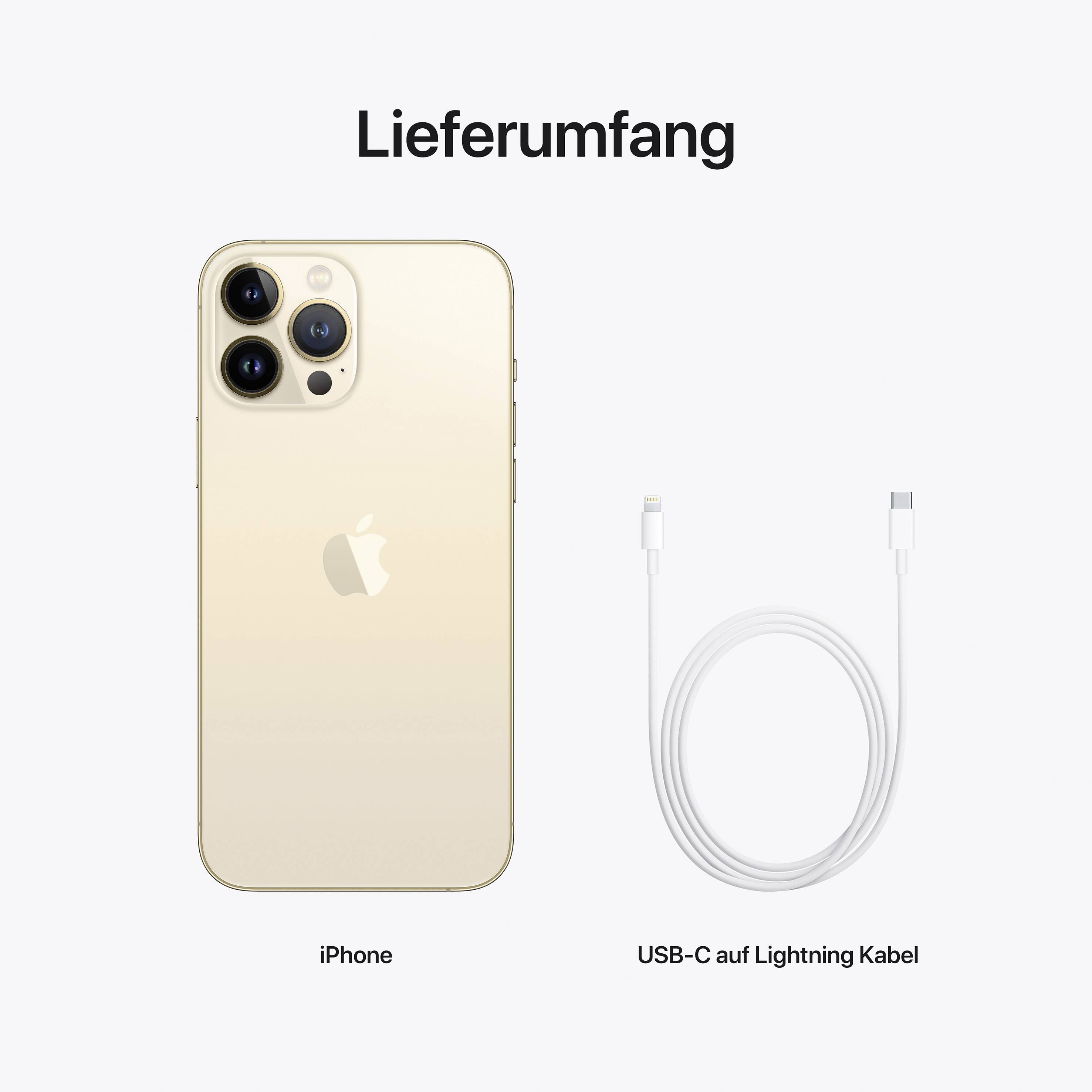 Apple iPhone 13 Pro Max Gold 128GB 17cm (6.7 Zoll)