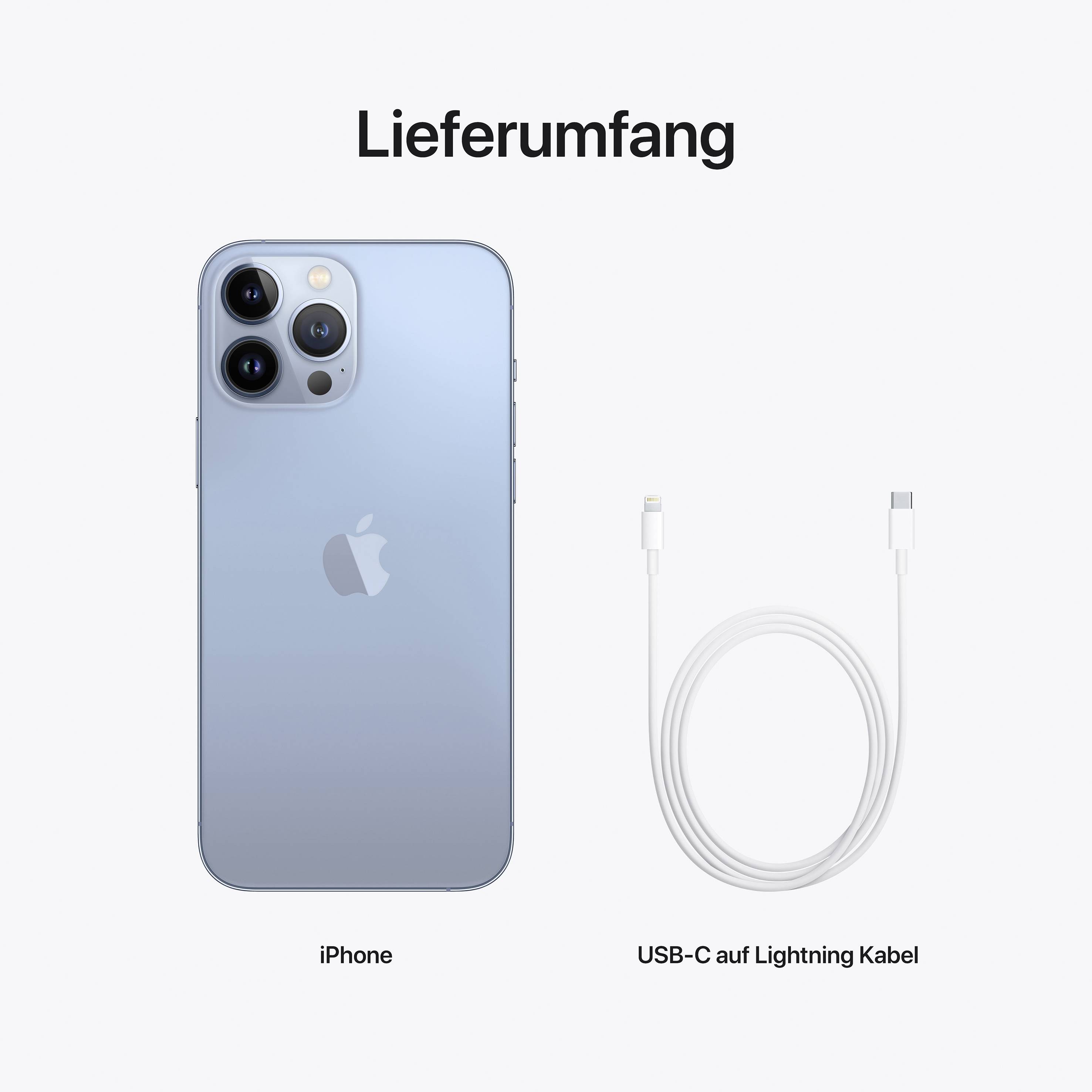 Apple iPhone 13 Pro Max Sierrablau 128 GB 17 cm (6.7 Zoll)