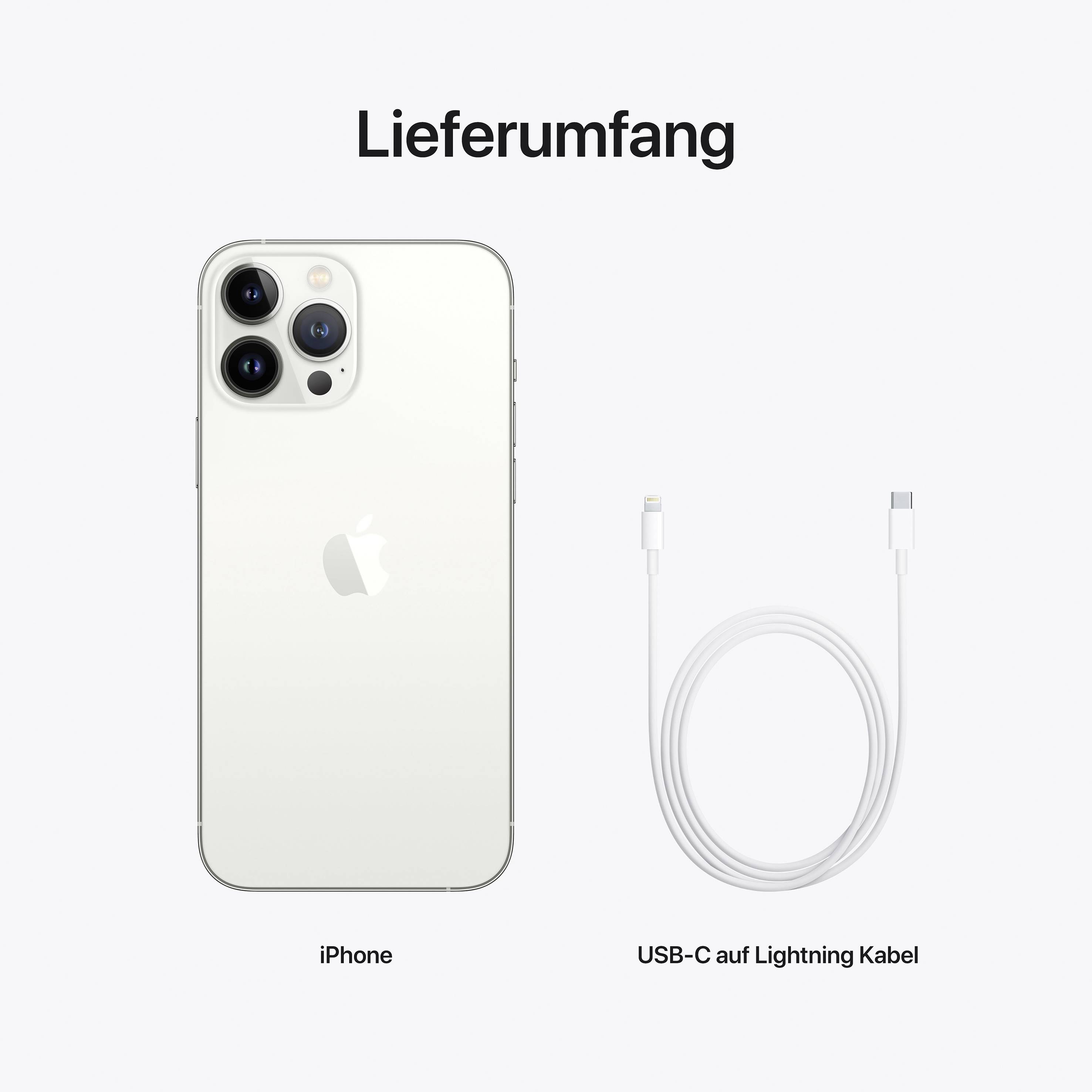 Apple iPhone 13 Pro Max Silber 256 GB 17 cm (6.7 Zoll)